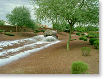 erosion control